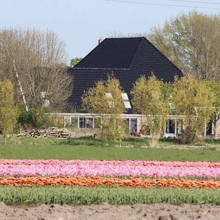 B&B Heeringhuusen Haringhuizen Exterior photo