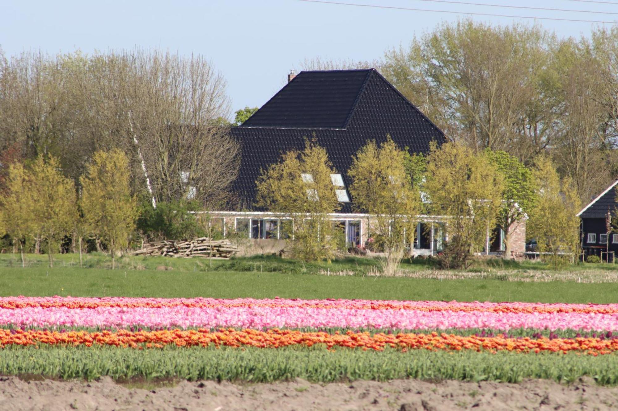 B&B Heeringhuusen Haringhuizen Exterior photo