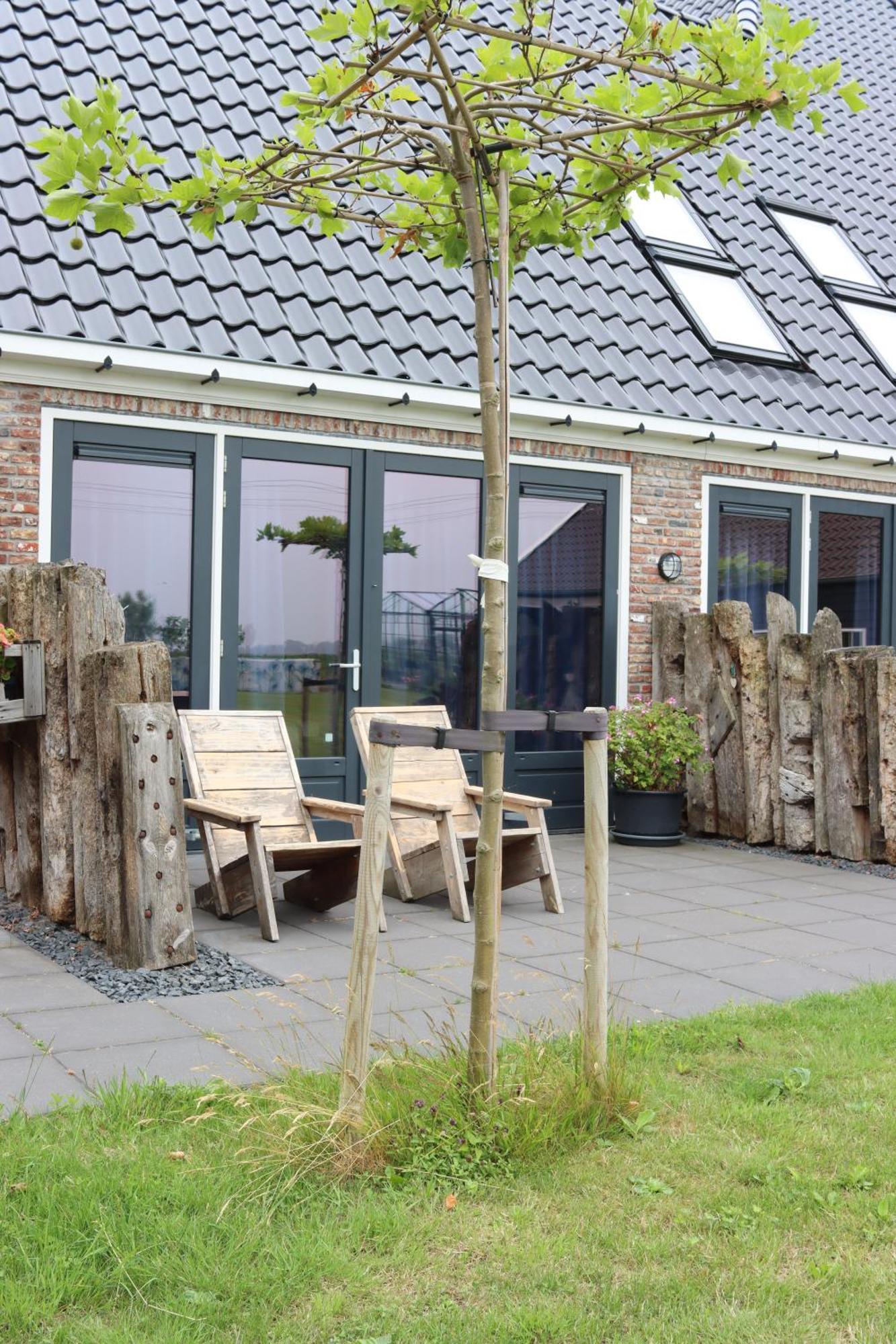B&B Heeringhuusen Haringhuizen Exterior photo